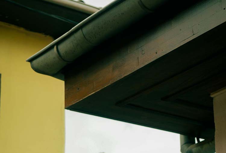gutter cleaner