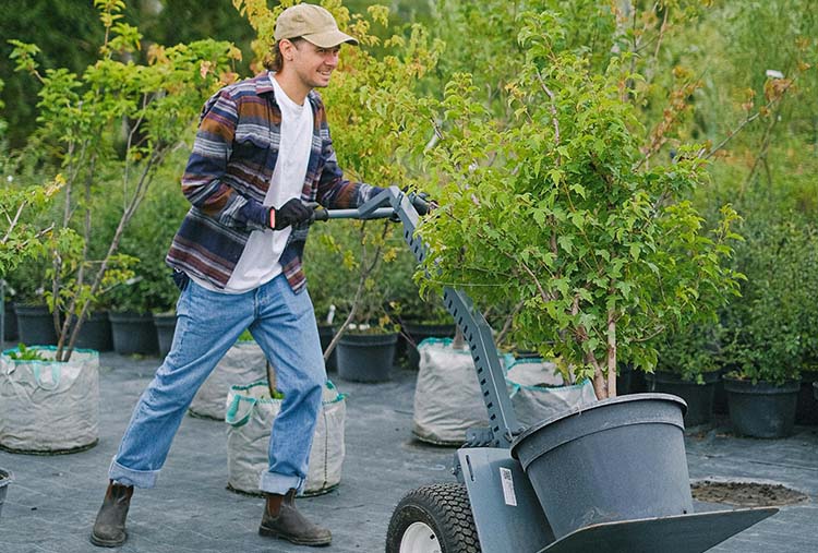 landscaper
