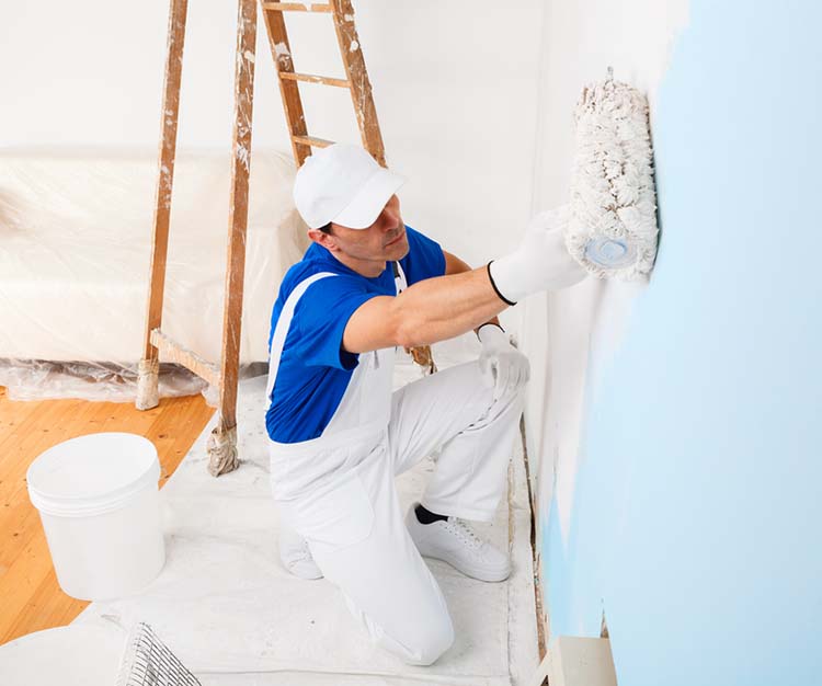 painter painter