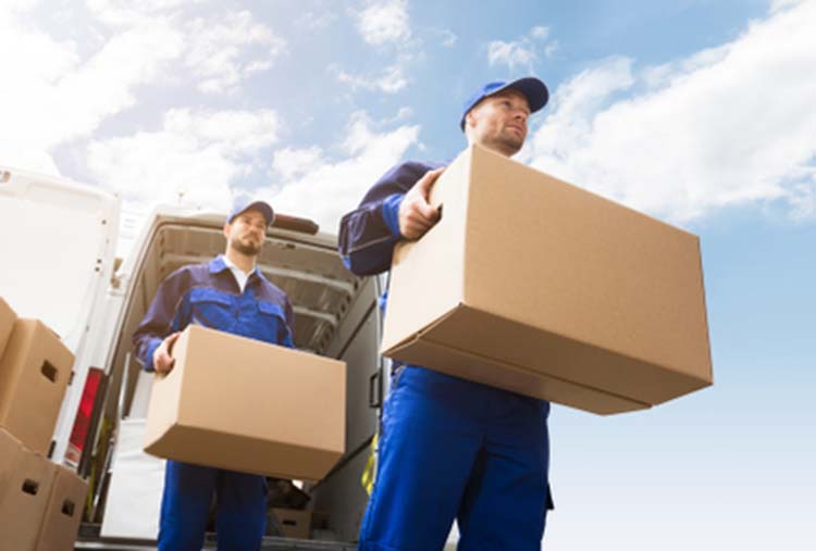 Low,Angle,View,Of,Two,Young,Delivery,Man,Carrying,Cardboard